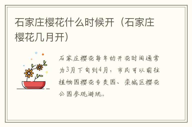 石家庄樱花什么时候开（石家庄樱花几月开）