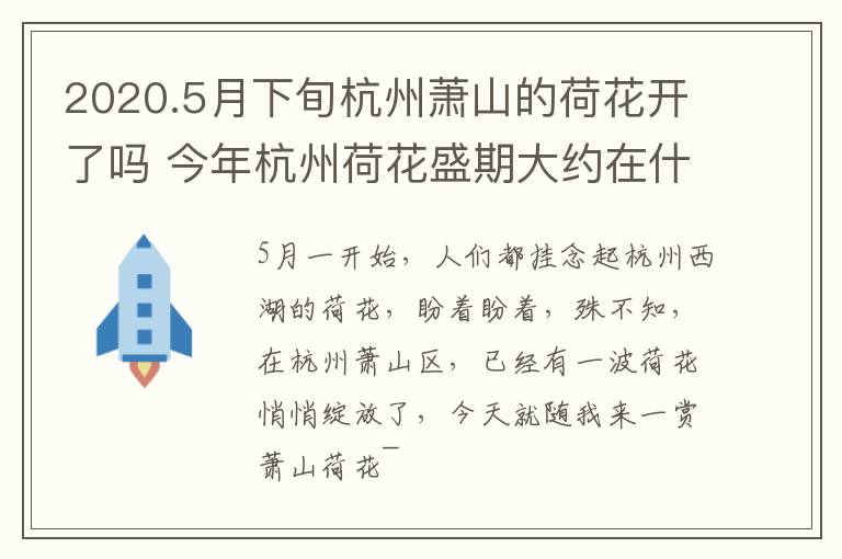 2020.5月下旬杭州萧山的荷花开了吗 今年杭州荷花盛期大约在什么时候?