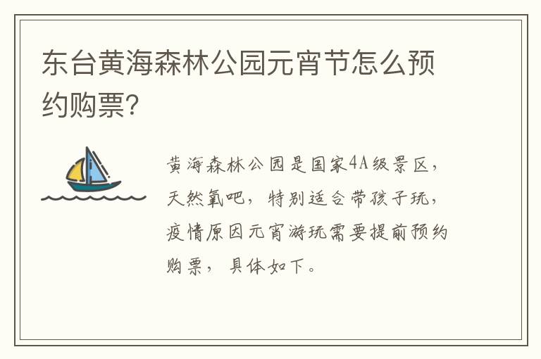 东台黄海森林公园元宵节怎么预约购票？