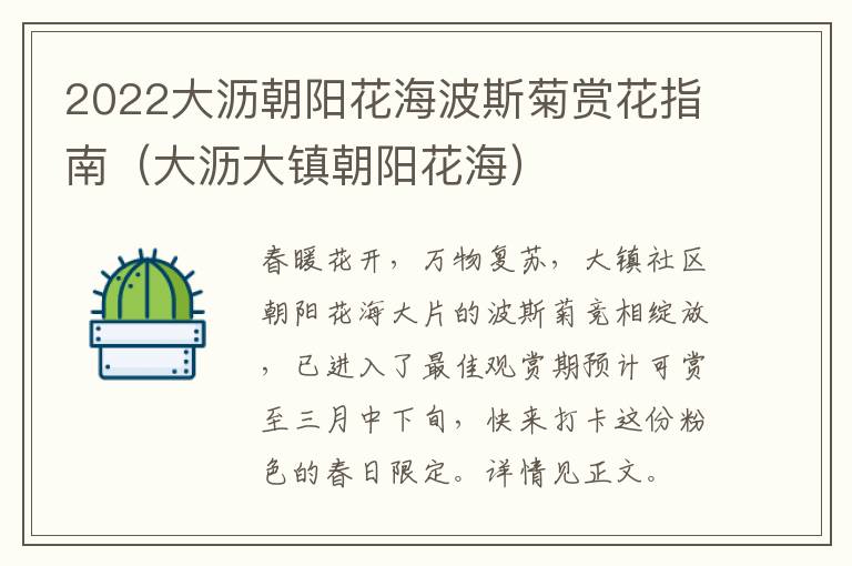 2022大沥朝阳花海波斯菊赏花指南（大沥大镇朝阳花海）