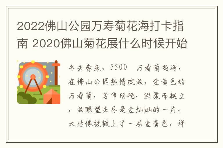 2022佛山公园万寿菊花海打卡指南 2020佛山菊花展什么时候开始