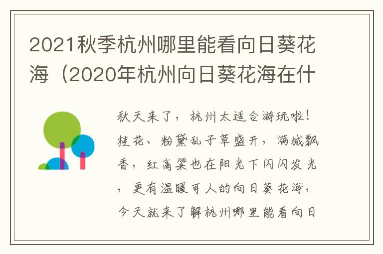 2021秋季杭州哪里能看向日葵花海（2020年杭州向日葵花海在什么地方）