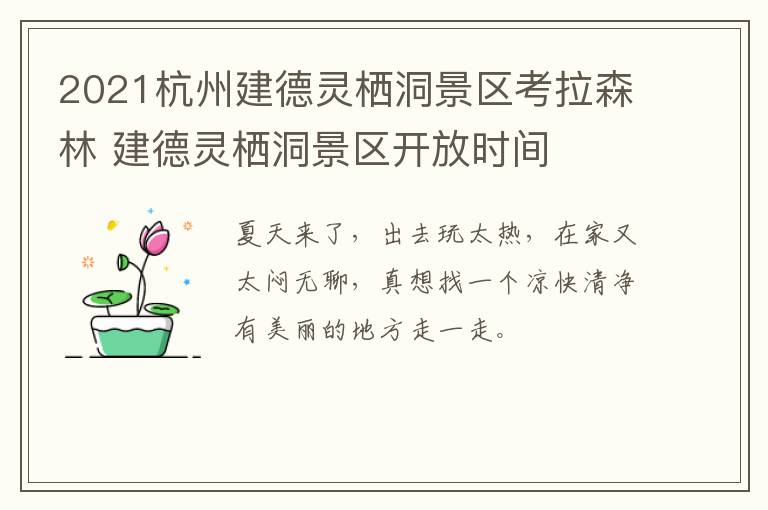 2021杭州建德灵栖洞景区考拉森林 建德灵栖洞景区开放时间