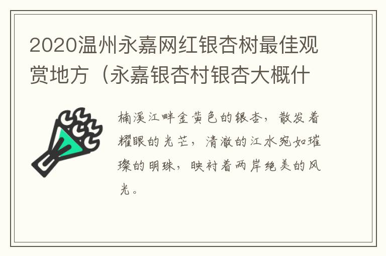 2020温州永嘉网红银杏树最佳观赏地方（永嘉银杏村银杏大概什么时候最漂亮）