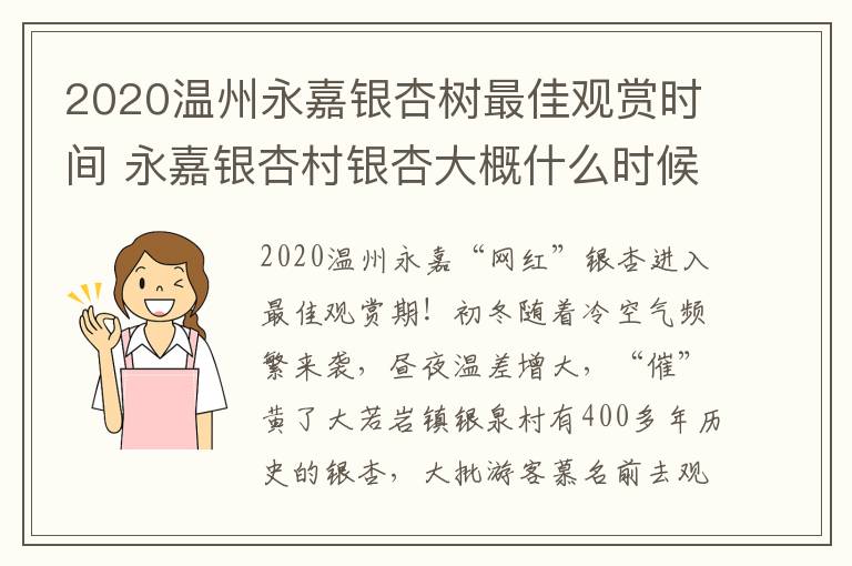 2020温州永嘉银杏树最佳观赏时间 永嘉银杏村银杏大概什么时候最漂亮