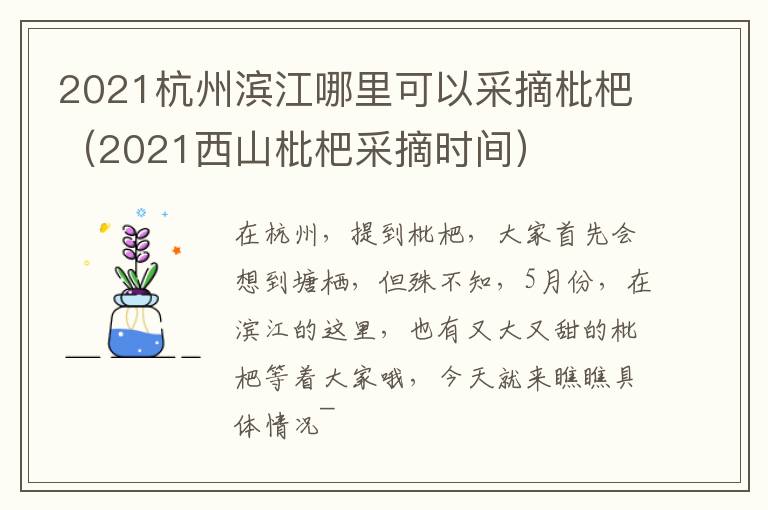 2021杭州滨江哪里可以采摘枇杷（2021西山枇杷采摘时间）